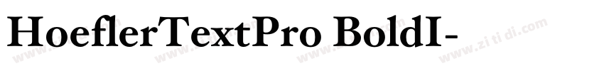 HoeflerTextPro BoldI字体转换